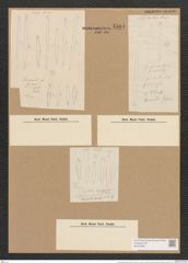 Homoeocladia germanica Richt. (de-Toni-Nr.: Genus 48, Species 2188) Zeichnungen Sammlung Grunow Nr. 4584 (NHMW-BOT-W0372595)